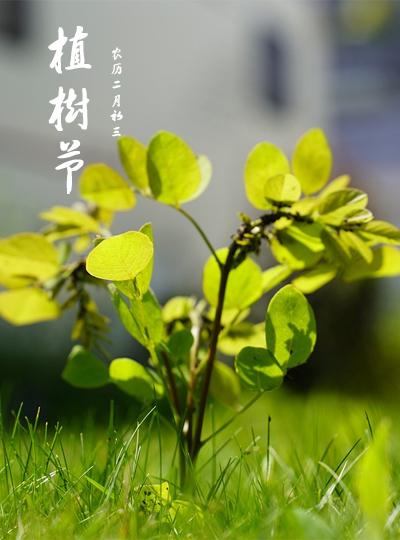 共筑綠色園區，我們在行動！ 公司植樹節活動